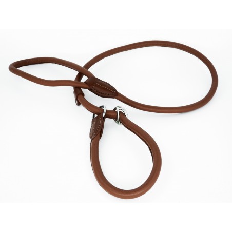 Lesa prezentare show piele rotunda Sara Dog