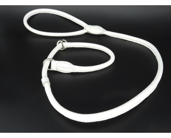 Lesa prezentare show piele rotunda Sara Dog