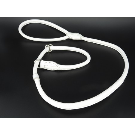 Lesa prezentare show piele rotunda Sara Dog