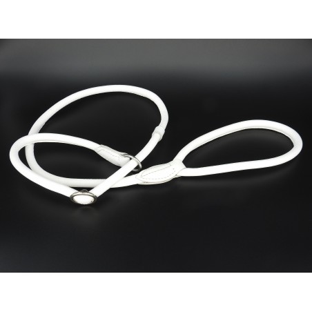 Lesa prezentare show piele rotunda Sara Dog