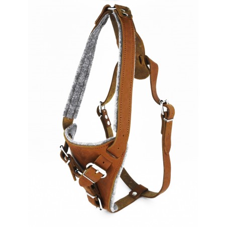 Ham special pentru caini Sara Dog