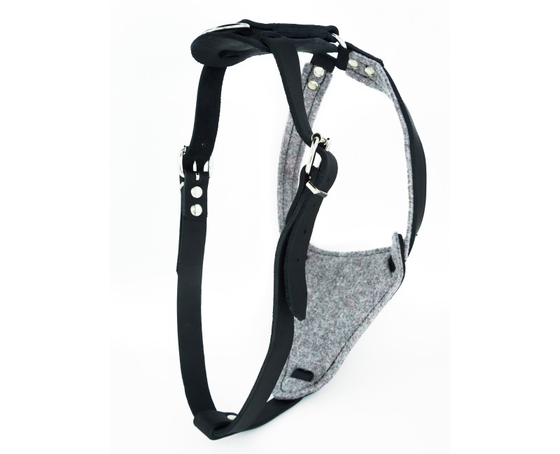 Ham special pentru caini Sara Dog