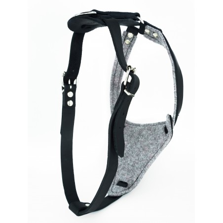 Ham special pentru caini Sara Dog