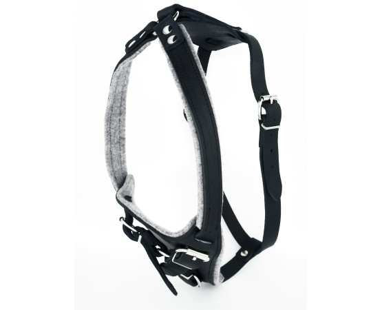 Ham special pentru caini Sara Dog