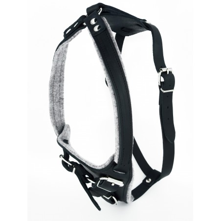 Ham special pentru caini Sara Dog