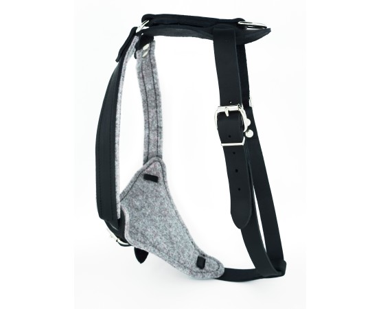 Ham special pentru caini Sara Dog