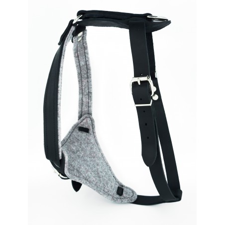 Ham special pentru caini Sara Dog