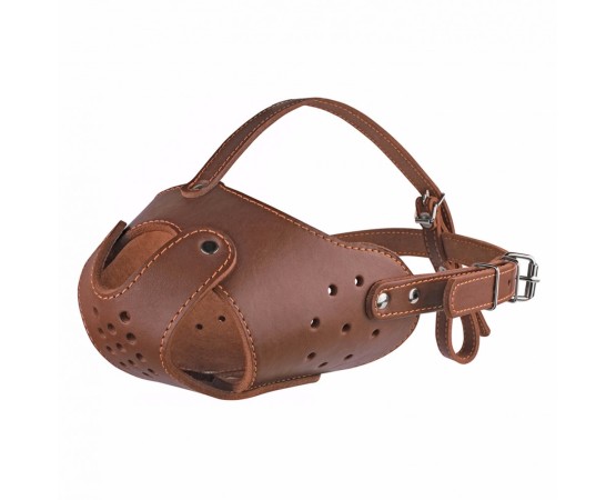 Botnita Bullterrier piele