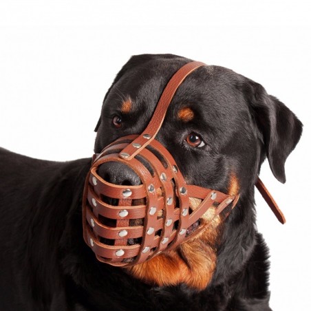 Botnita piele naturala pentru Mastino , Bullmastiff , Rottweiler talie mare . Sara Dog