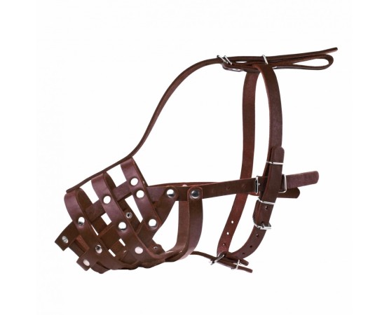 Botnita piele naturala pentru Mastino , Bullmastiff , Rottweiler talie mare . Sara Dog