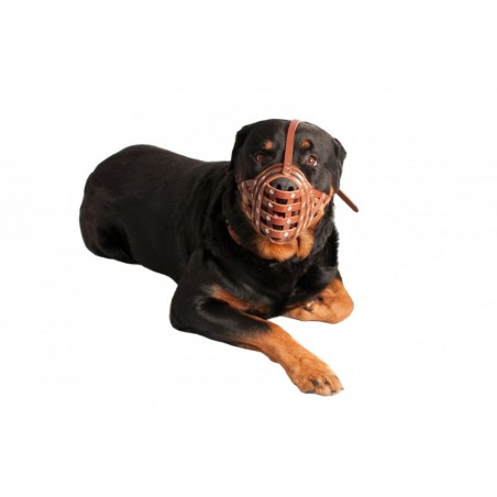 Botnita piele naturala pentru Mastino , Bullmastiff , Rottweiler talie mare . Sara Dog