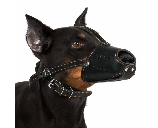 Botnita piele pentru Dobermann . Sara Dog