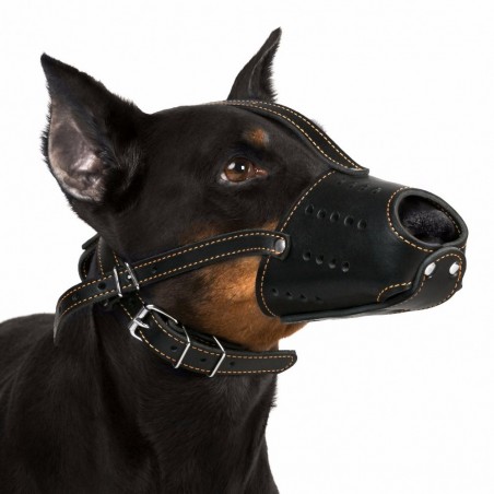 Botnita piele pentru Dobermann . Sara Dog