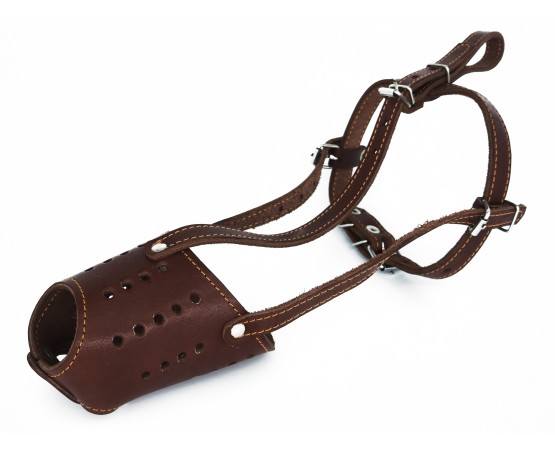 Botnita piele pentru Dobermann . Sara Dog