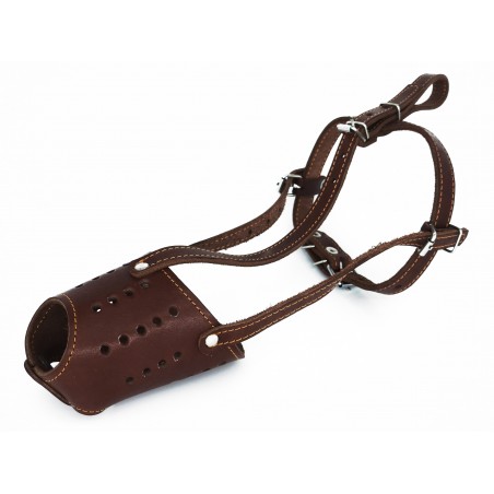 Botnita piele pentru Dobermann . Sara Dog