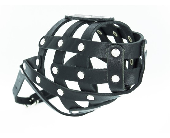 Botnita piele pentru Dobermann , Ciobanesc German , Dalmatian . Sara Dog