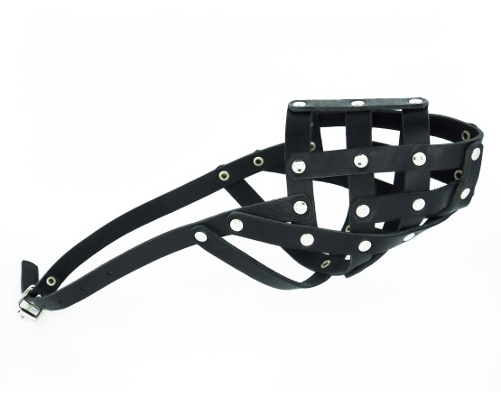 Botnita piele pentru Dobermann , Ciobanesc German , Dalmatian . Sara Dog