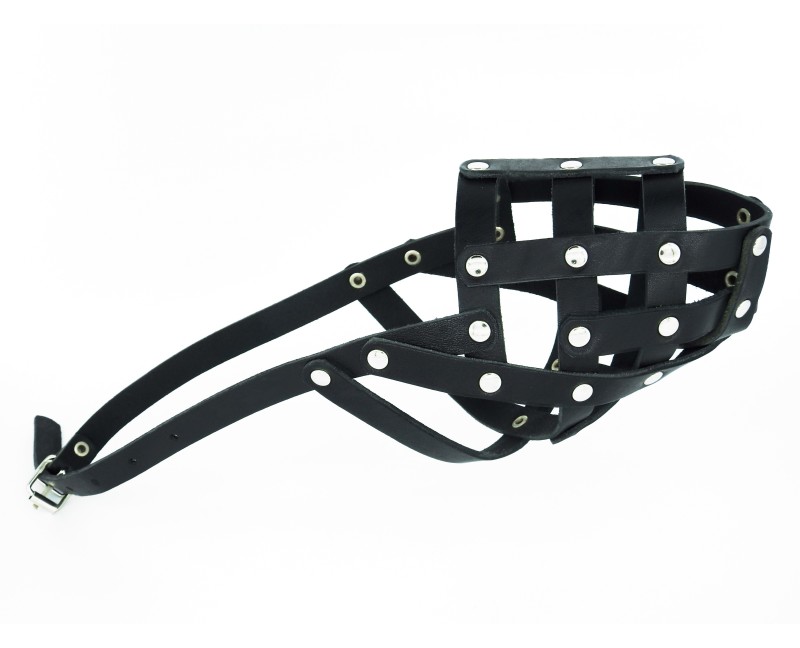 Botnita piele pentru Dobermann , Ciobanesc German , Dalmatian . Sara Dog