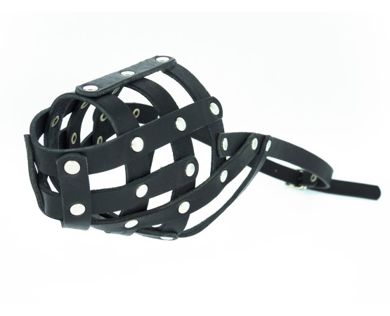 Botnita piele pentru Dobermann , Ciobanesc German , Dalmatian . Sara Dog