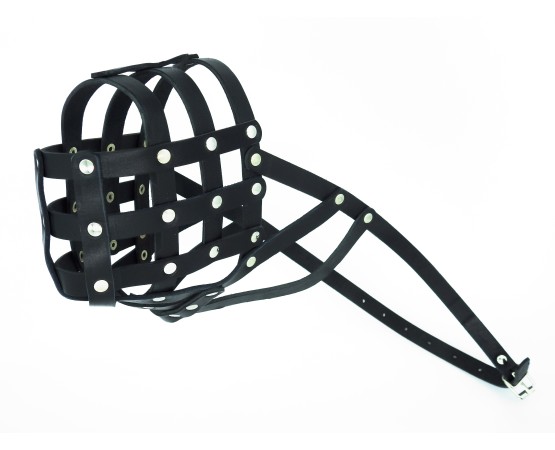 Botnita piele Caucazian , Pazitorul Moscovei , Terra Nova . Sara Dog