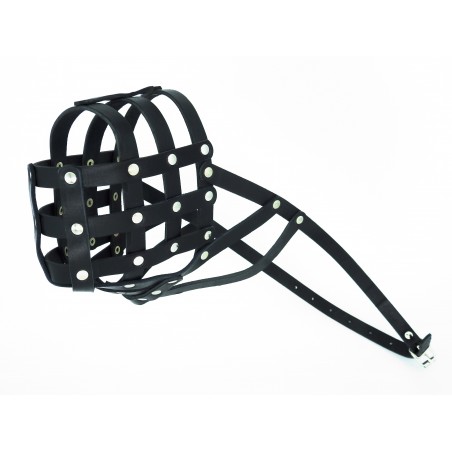 Botnita piele Caucazian , Pazitorul Moscovei , Terra Nova . Sara Dog