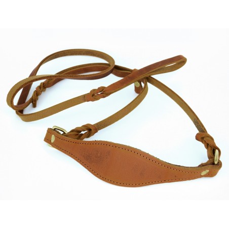 Lesa prezentare ciobanesc german