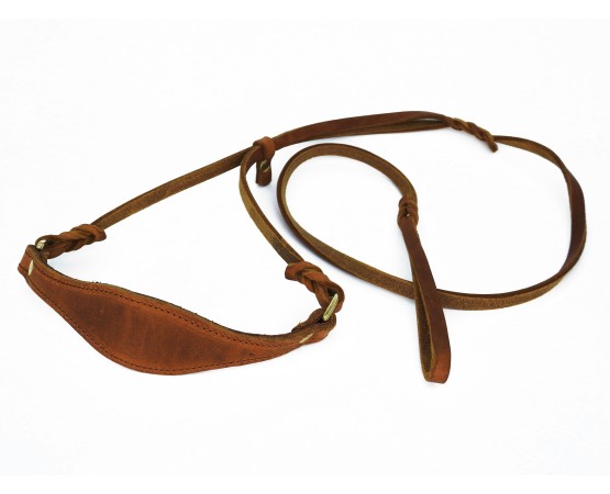 Lesa prezentare ciobanesc german