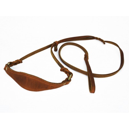 Lesa prezentare ciobanesc german