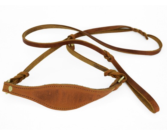 Lesa prezentare ciobanesc german