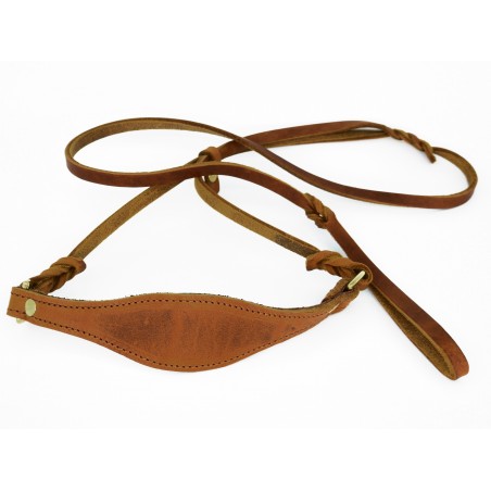 Lesa prezentare ciobanesc german