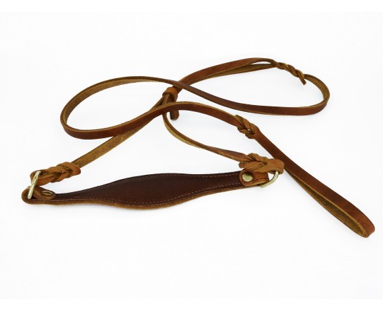 Lesa prezentare ciobanesc german