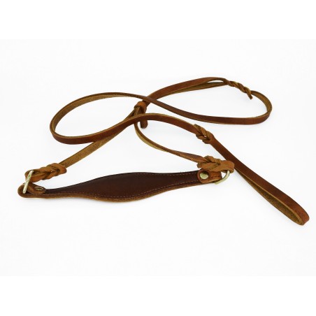 Lesa prezentare ciobanesc german