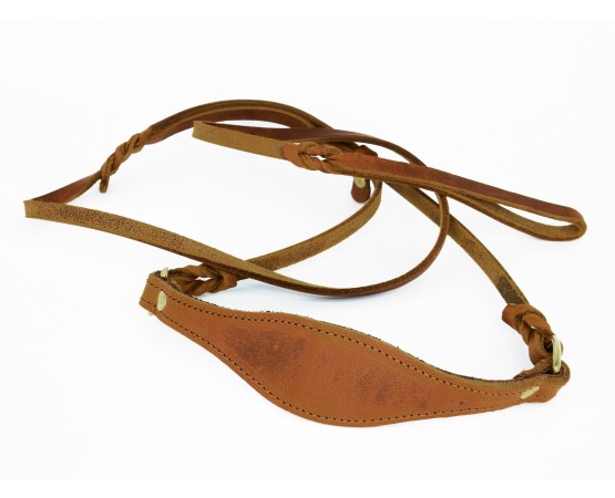 Lesa prezentare ciobanesc german