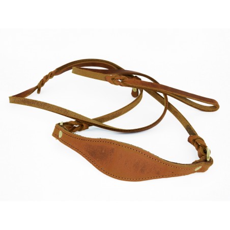 Lesa prezentare ciobanesc german