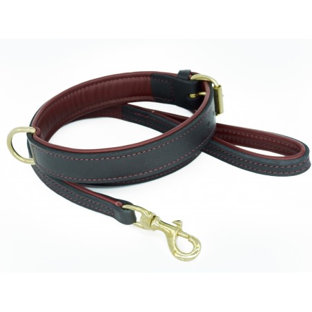 Lesa piele naturala colectia Provence Sara Dog