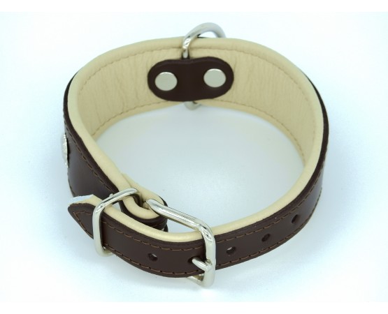 Zgarda  Luxury French Bulldog