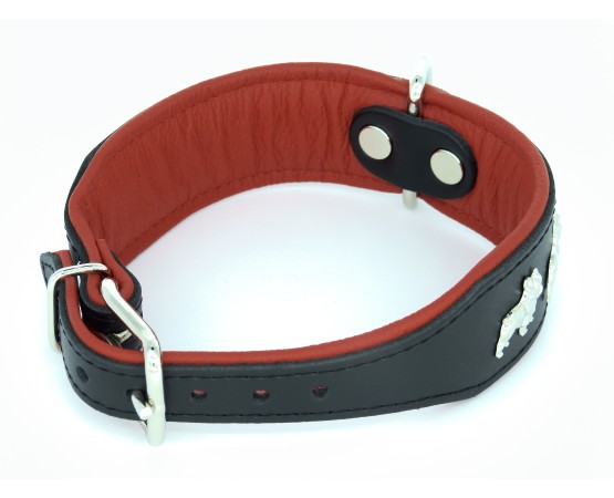 Zgarda piele Luxury French Bulldog