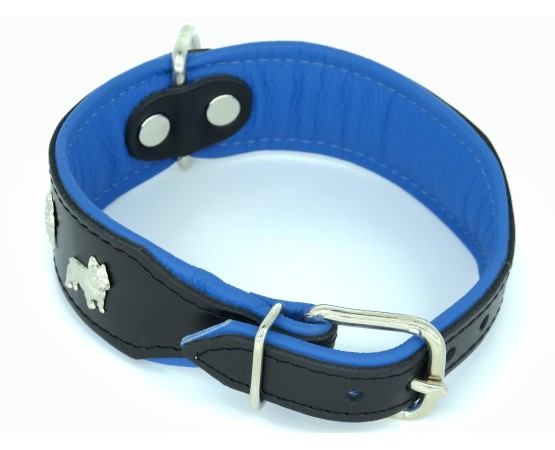 Zgarda piele Luxury French Bulldog