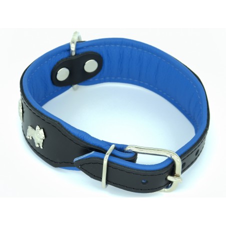 Zgarda piele Luxury French Bulldog