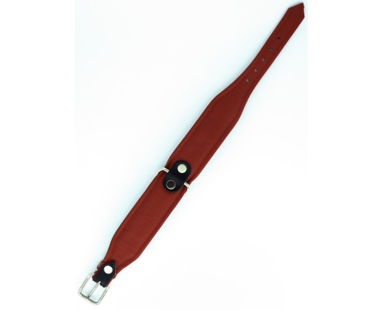 Zgarda piele Luxury Bullterrier