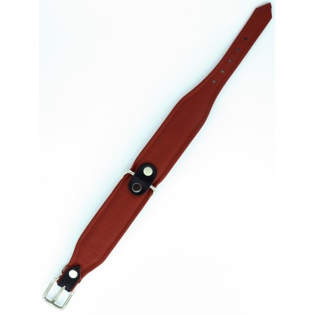 Zgarda piele Luxury Bullterrier