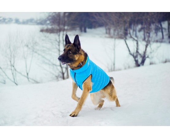 Vesta iarna caini Airy Vest