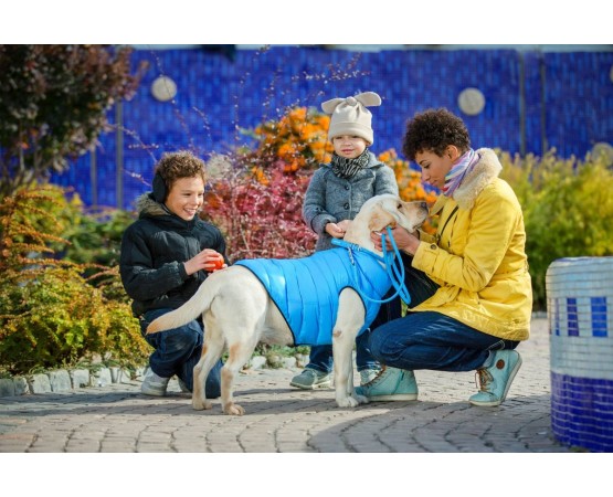 Vesta iarna caini Airy Vest