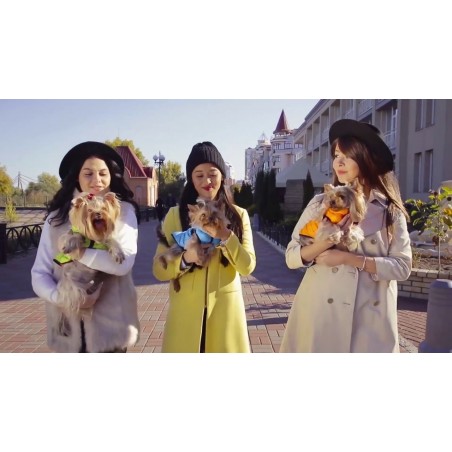 Vesta iarna caini Airy Vest