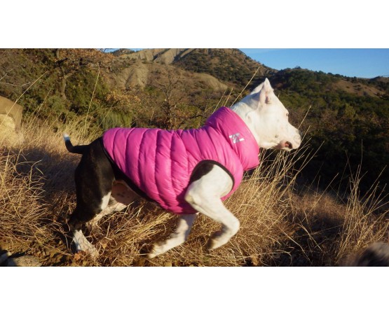 Vesta iarna caini Airy Vest / Roz - Purpuriu