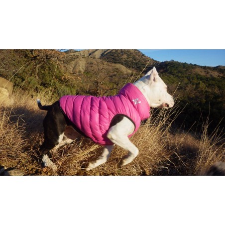 Vesta iarna caini Airy Vest / Roz - Purpuriu