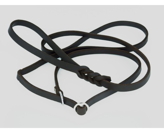 Lesa prezentare expozitie piele naturala