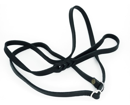 Lesa prezentare expozitie piele naturala