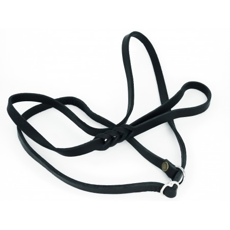 Lesa prezentare expozitie piele naturala