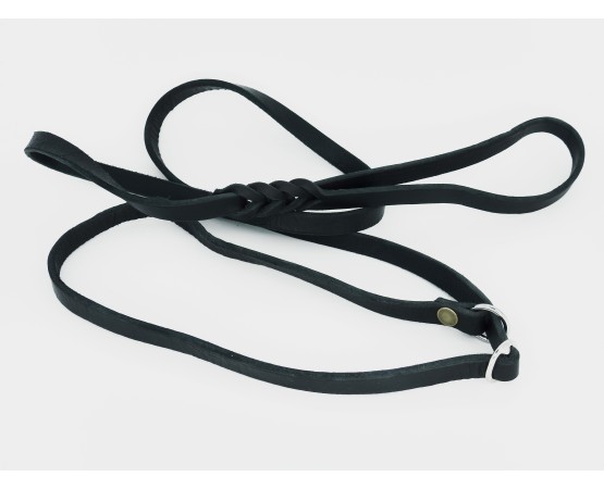 Lesa prezentare expozitie piele naturala